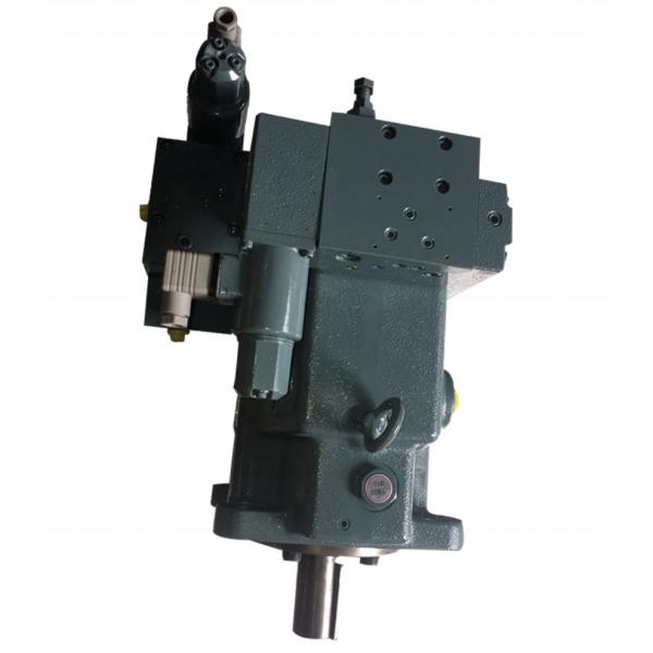 Yuken A45-F-R-04-H-K-10393         Piston pump #1 image