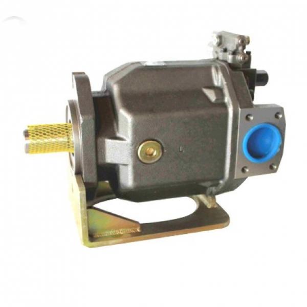 PAKER YB1-100 Piston Pump #1 image