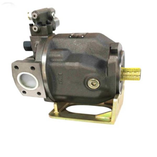 PAKER YB1-100 Piston Pump #2 image